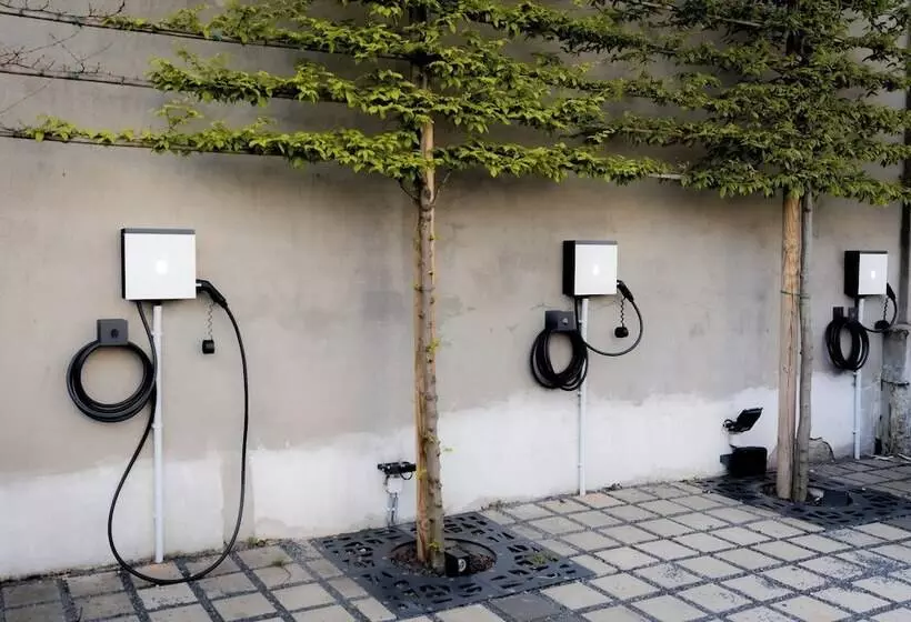 Fotos del hotel Golden Tree:  8