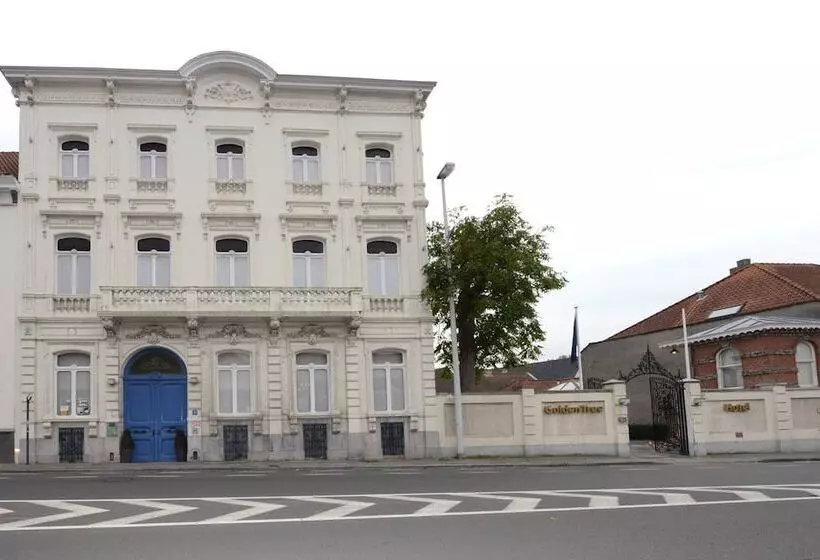 Fotos del hotel Golden Tree:  9