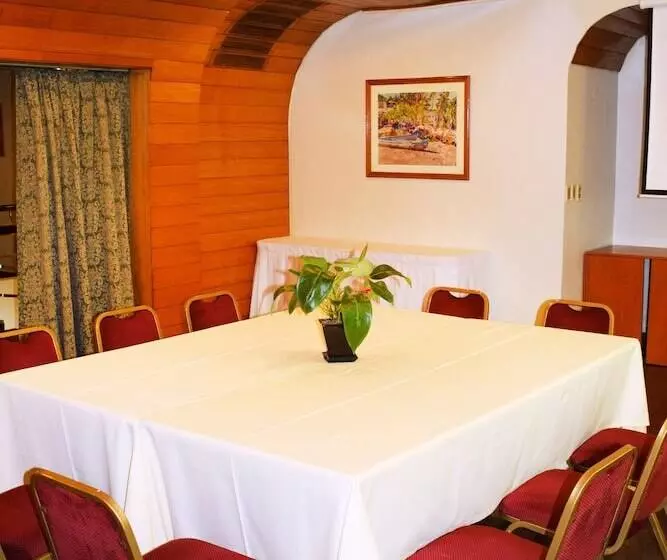 Fotos del hotel Solans Carlton:  8