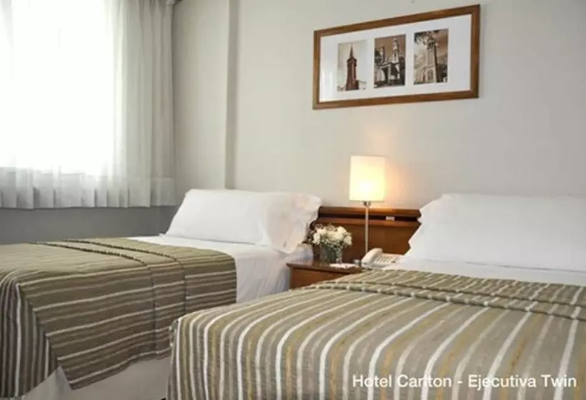 Fotos del hotel Solans Carlton:  23