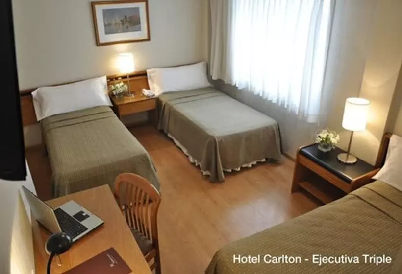 Fotos del hotel Solans Carlton:  2