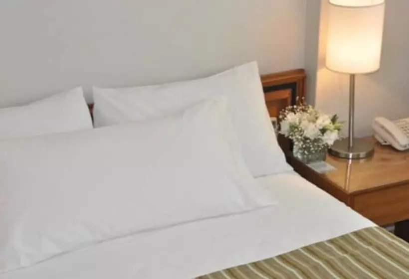 Fotos del hotel Solans Carlton:  21