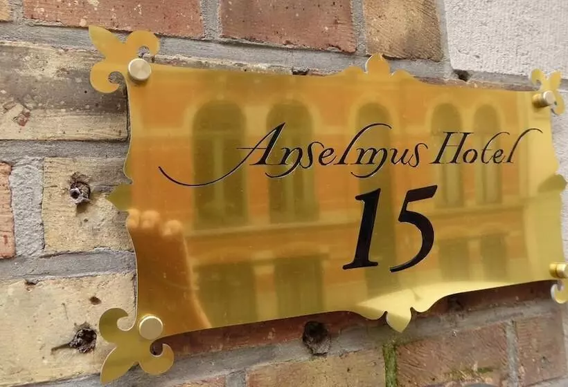 Fotos del hotel The Black Swan:  4