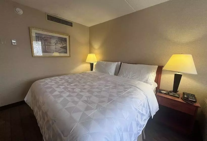 Fotos del hotel Holiday Inn Calgary  Macleod Trail South, An Ihg:  23