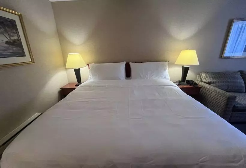 Fotos del hotel Holiday Inn Calgary  Macleod Trail South, An Ihg:  22