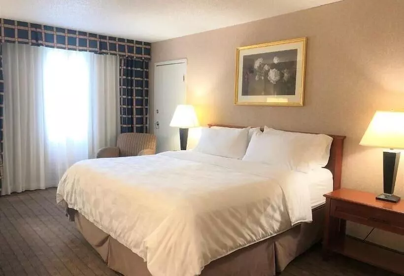 Fotos del hotel Holiday Inn Calgary  Macleod Trail South, An Ihg:  24