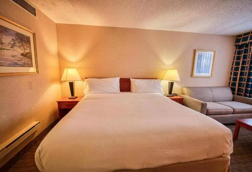 Fotos del hotel Holiday Inn Calgary  Macleod Trail South, An Ihg:  11