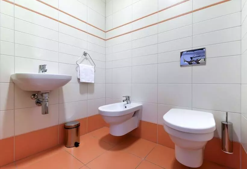 Fotos del hotel Tatra:  7