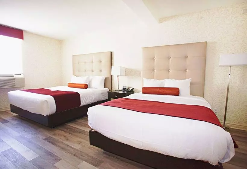 Fotos del hotel Best Western Plus Montreal Downtown  Europa:  9