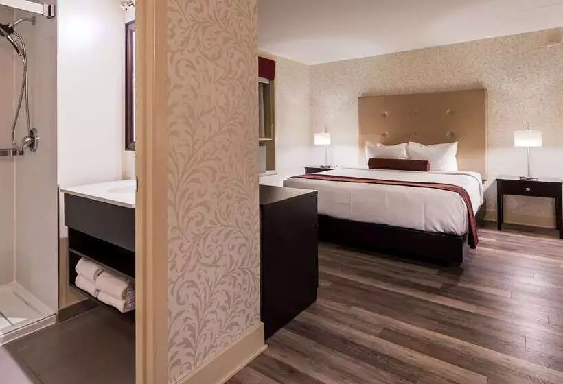 Fotos del hotel Best Western Plus Montreal Downtown  Europa:  6