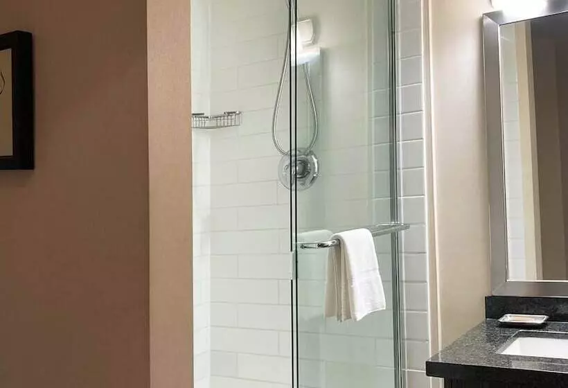 Fotos del hotel Executive Inn Whistler:  10