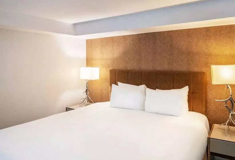 Executive Inn Whistler