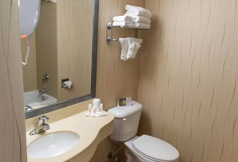 Fotos del hotel Howard Johnson Plaza By Wyndham By The Falls Niagara Falls:  10