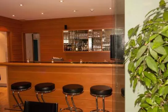 Fotos del hotel Hotel Palazzo:  6