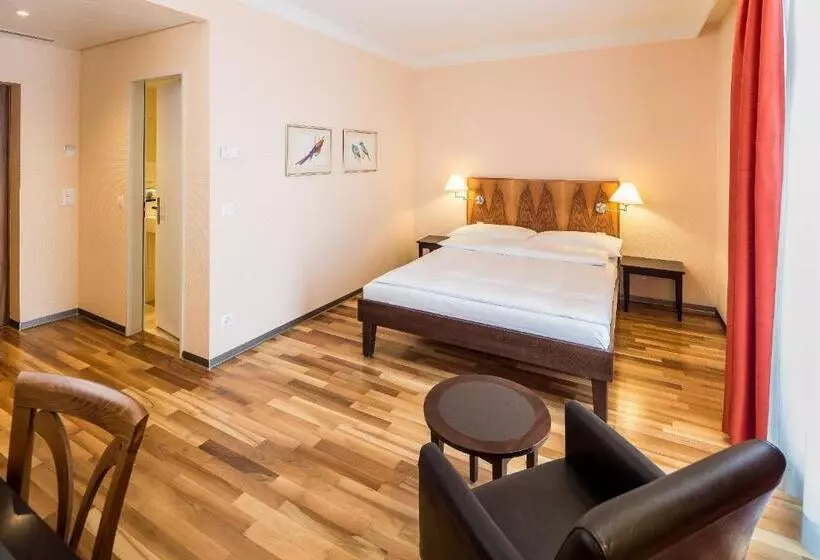 Fotos del hotel Schweizerhof Basel:  12