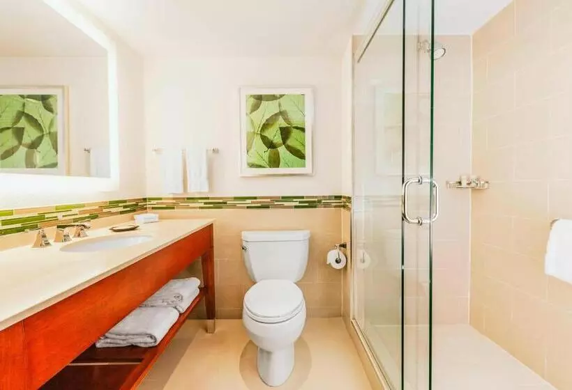 Fotos del hotel The Westin Ottawa:  7