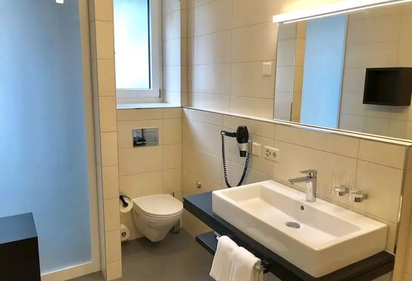 Fotos del hotel Alpina Luzern:  6