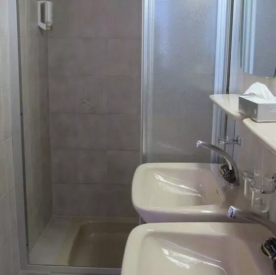 Fotos del hotel Alpina Luzern:  9