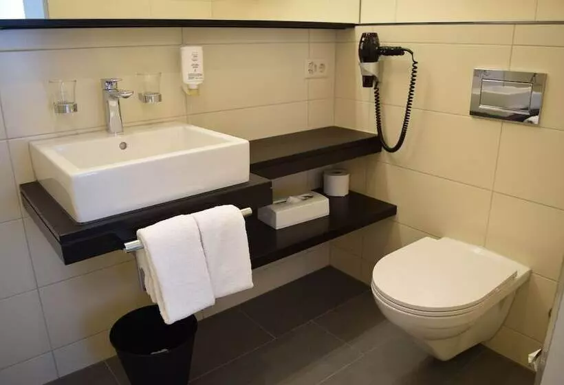 Fotos del hotel Alpina Luzern:  11