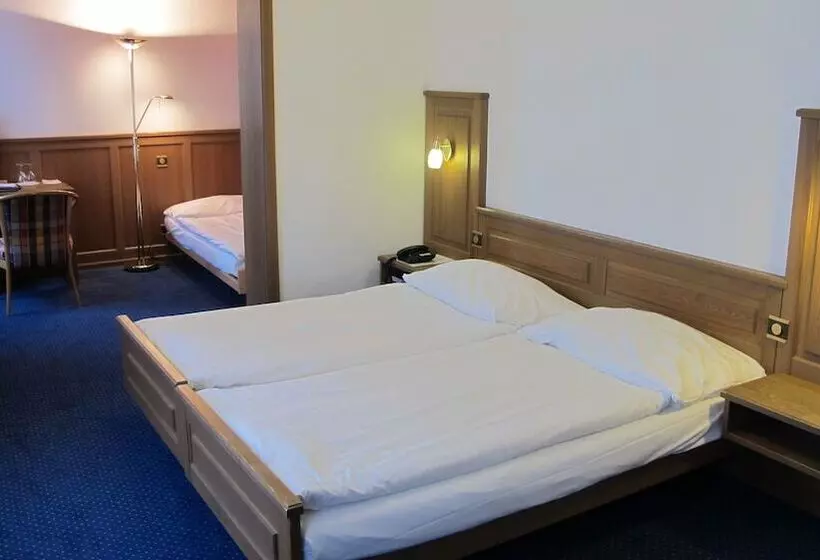 Fotos del hotel Alpina Luzern:  8