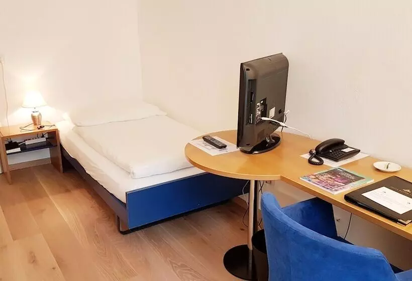 Fotos del hotel Alpina Luzern:  10