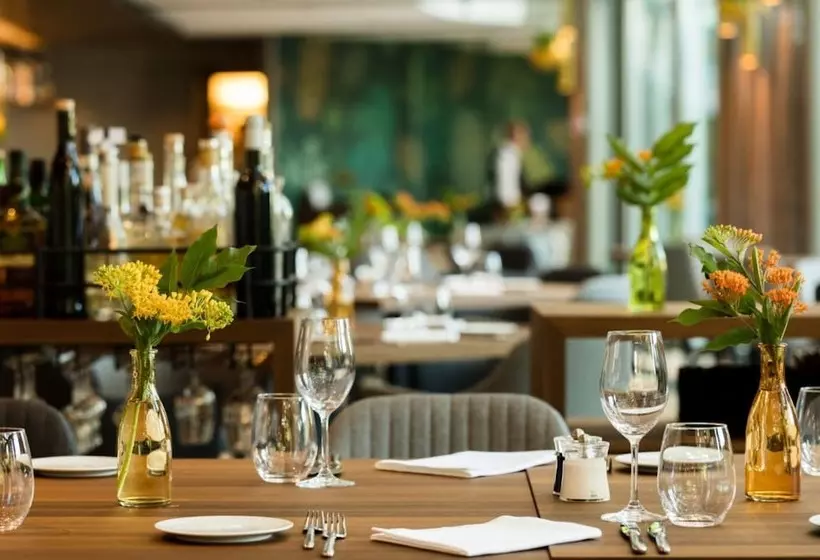 Fotos del hotel Engimatt City & Garden:  9