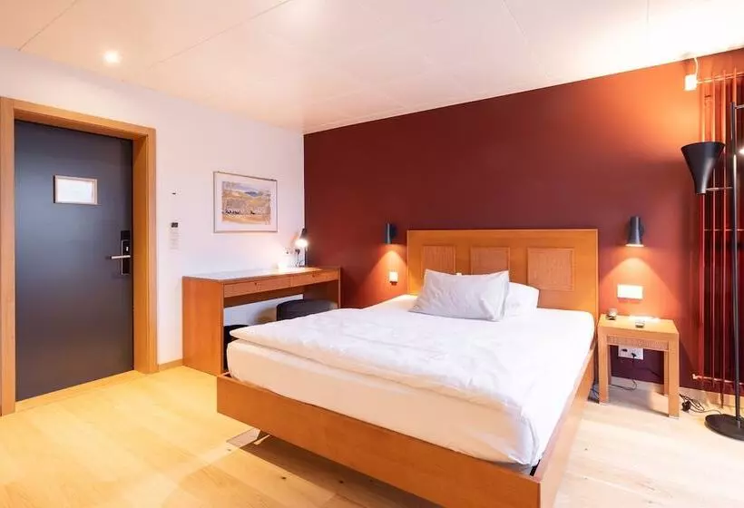 Fotos del hotel Engimatt City & Garden:  20