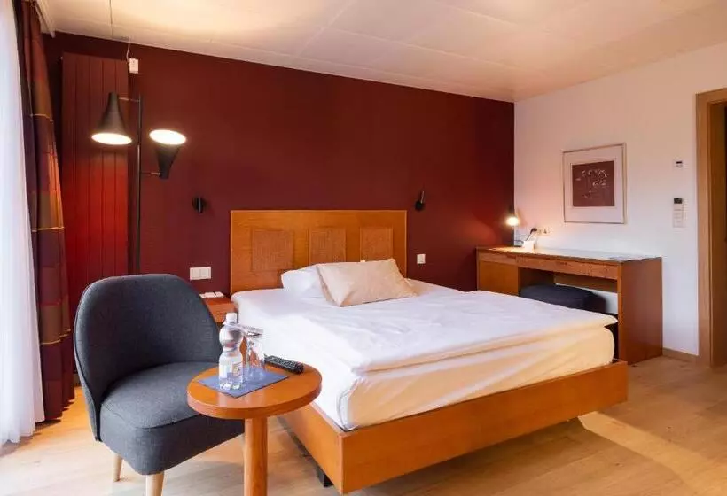 Fotos del hotel Engimatt City & Garden:  10