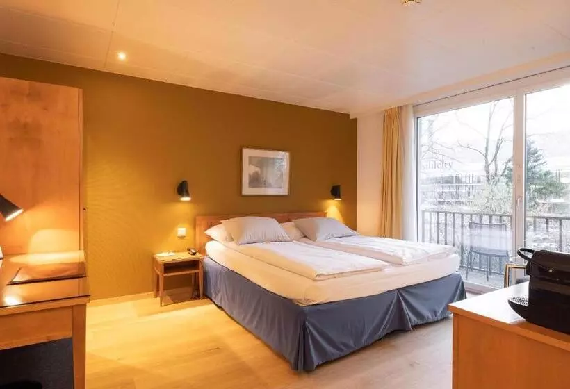 Fotos del hotel Engimatt City & Garden:  23