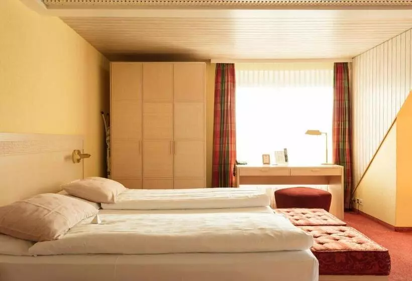 Fotos del hotel Engimatt City & Garden:  5