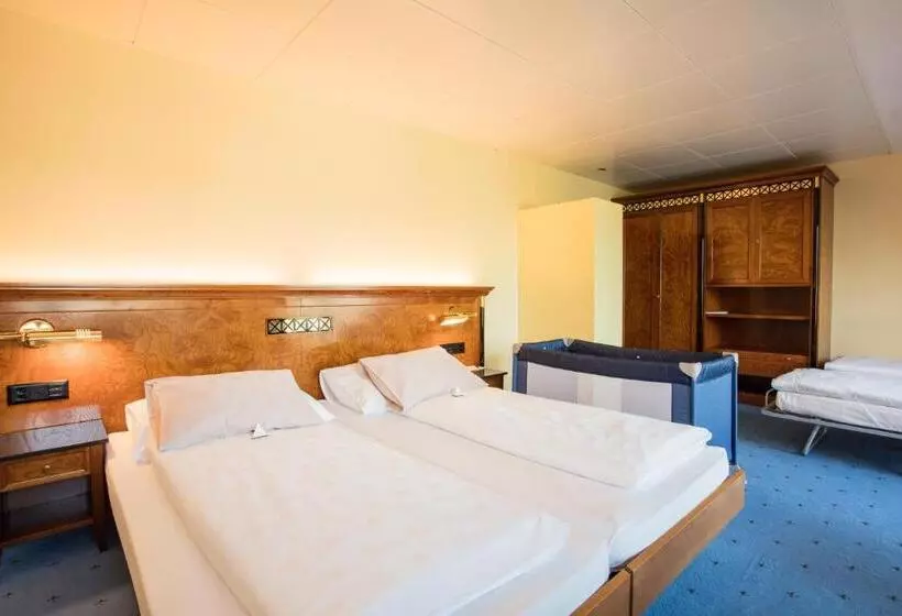 Fotos del hotel Engimatt City & Garden:  24