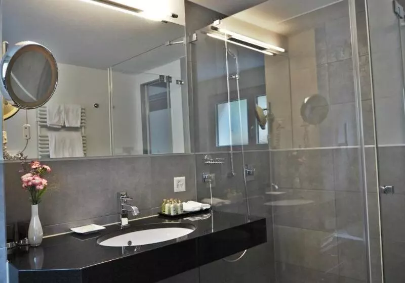 Fotos del hotel Mirabeau:  7