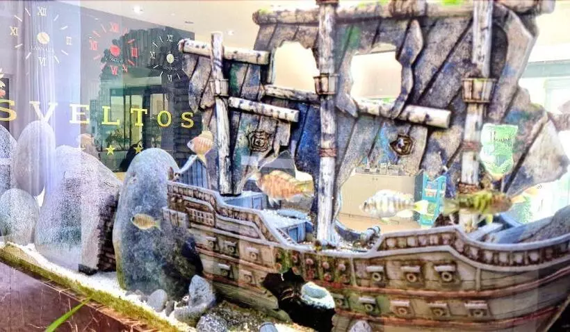 Fotos del hotel Sveltos:  7