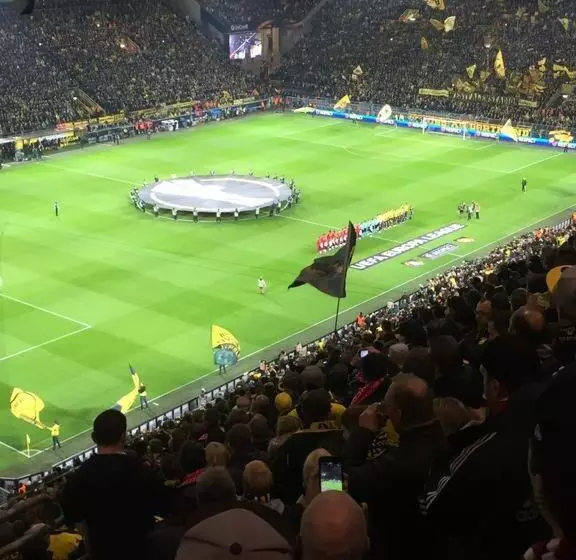 Fotos del hotel Drei Kronen:  7