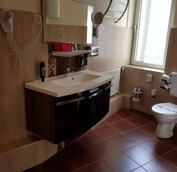 Fotos del hotel Drei Kronen:  21