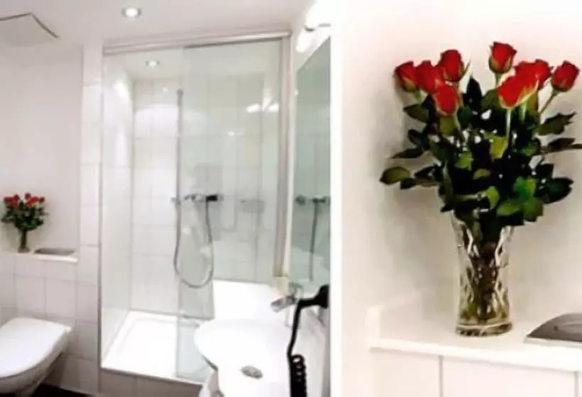 Fotos del hotel Admiral:  10