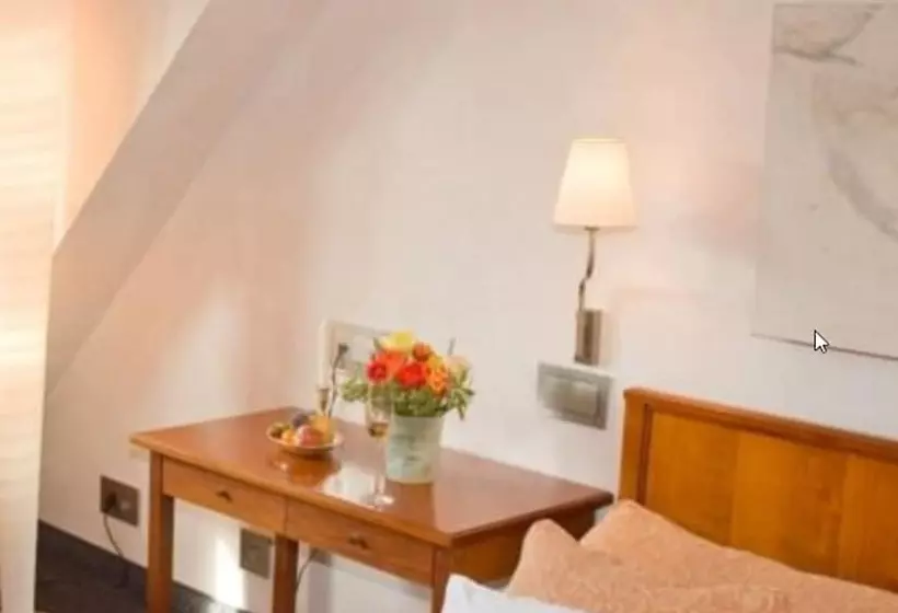 Fotos del hotel Zum Roten Bären:  13