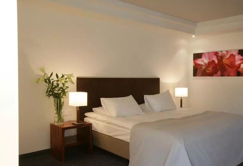 Fotos del hotel Erzgiesserei Europe:  8