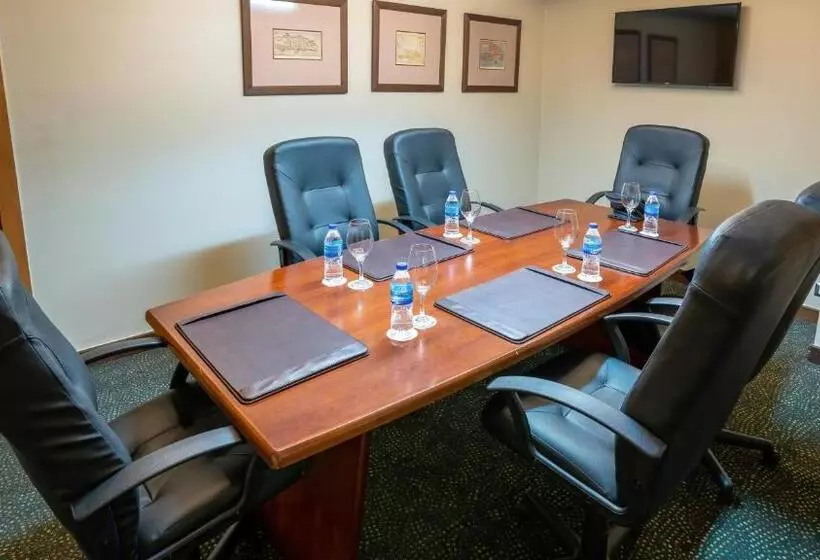 Fotos del hotel Crowne Plaza Santo Domingo, An Ihg:  14