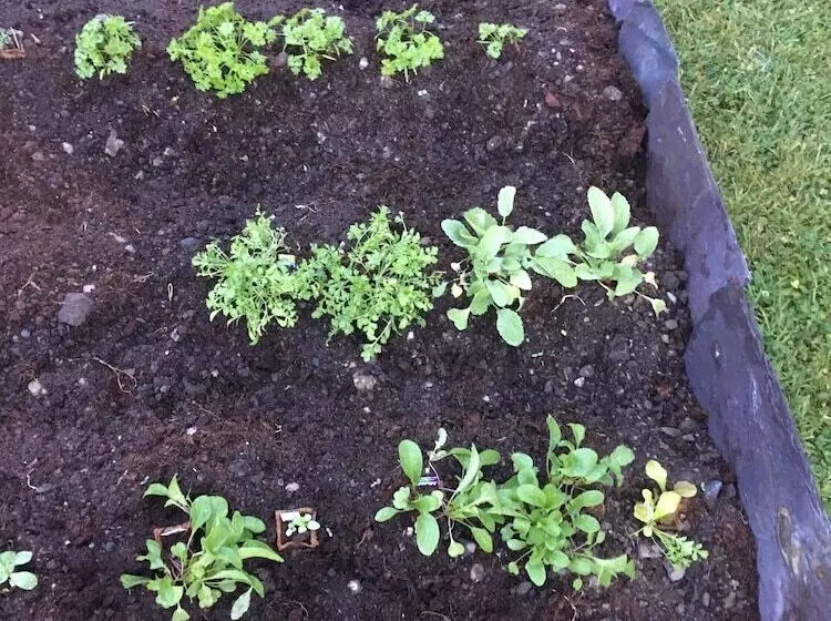 Fotos del hotel 19th Green Guesthouse:  10