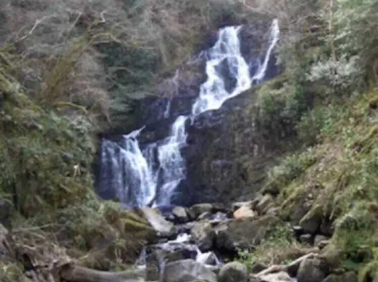 Fotos del hotel 19th Green Guesthouse:  14