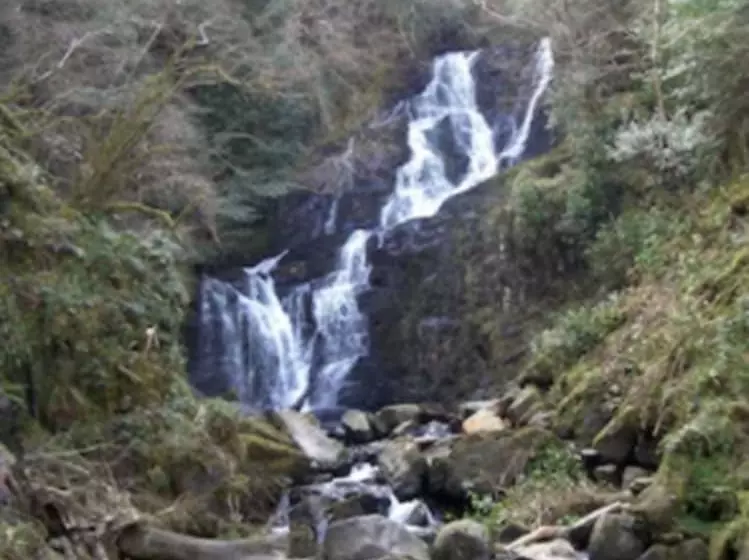 Fotos del hotel 19th Green Guesthouse:  5