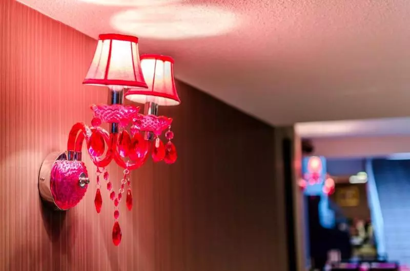 Fotos del hotel Hôtel Croix Des Bretons - Lourdes Pyrénées:  7