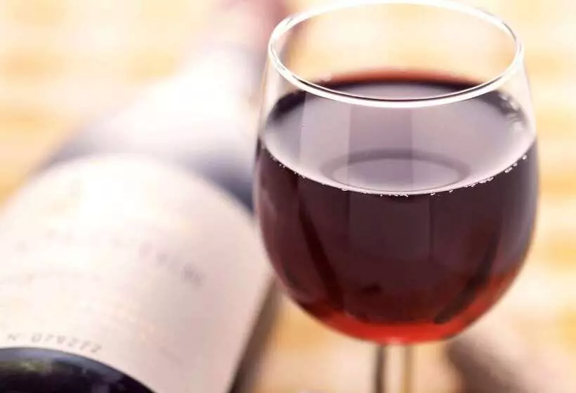 Fotos del hotel Ibis Montpellier Sud:  12