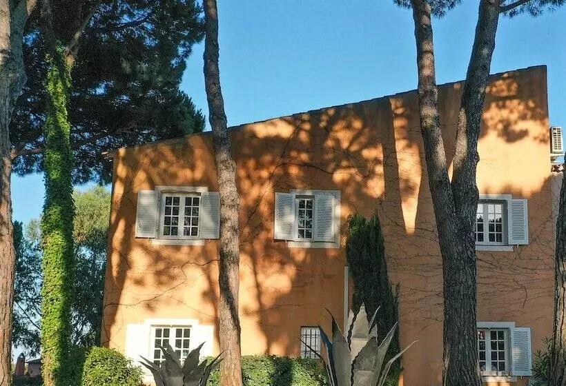 Fotos del hotel Hôtel La Mandarine:  15