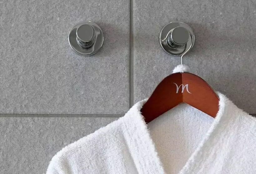 Fotos del hotel Mercure Nice Promenade Des Anglais:  2