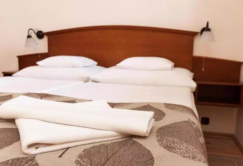 Fotos del hotel Klastrom:  19