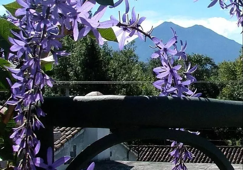 Fotos del hotel Meson Panza Verde:  8