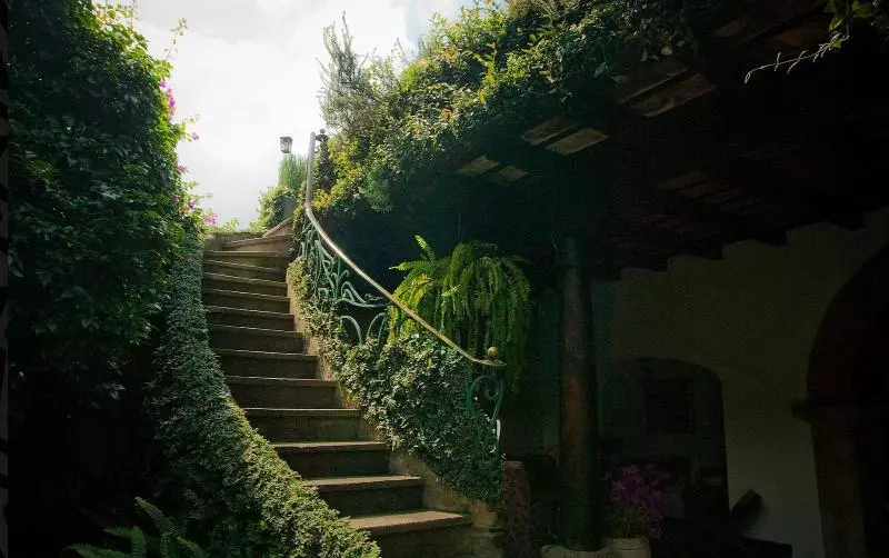 Fotos del hotel Meson Panza Verde:  14