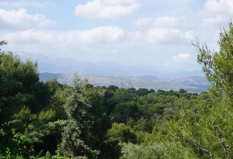 Fotos del hotel Monte Vardia:  17